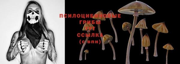 винт Балахна